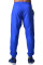 Спортивные штаны BERSERK MOBILITY blue