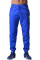 Спортивные штаны BERSERK MOBILITY blue