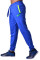 Спортивные штаны BERSERK MOBILITY blue