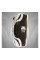 Пады Venum Absolute Kick Pads