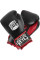 Боксерские перчатки Cleto Reyes Extra Padding Training Gloves Black