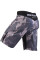 Шорты для ММА Berserk-sport CAMO grey
