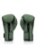 Боксерские перчатки Fairtex F-Day BGV11 Limited Edition Boxing Gloves