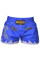 Шорты Berserk-sport  Muay Thai Fighter blue
