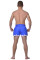 Шорты Berserk-sport  Muay Thai Fighter blue