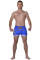 Шорты Berserk-sport  Muay Thai Fighter blue