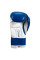 Боксерские перчатки Title Classic Pro Style Training Gloves 3.0 Blue White