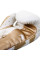 Боксерские перчатки Venum Elite Boxing Gloves White Gold