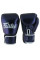 Боксерские перчатки Fairtex BGV12 Aura Muay Thai Boxing Gloves
