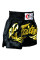 Шорты для тайского бокса Fairtex BS0646