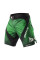 Шорты Peresvit Immortal Fightshorts Green Lantern