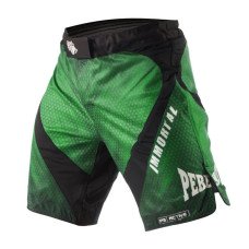 Шорты Peresvit Immortal Fightshorts Green Lantern