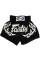Шорты для тайского бокса Fairtex BS0647