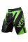Шорты MMA Venum Hurricane Fight Shorts Black Neo Green