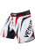 Бойцовские шорты Venum Sharp Fightshorts Black Ice Red