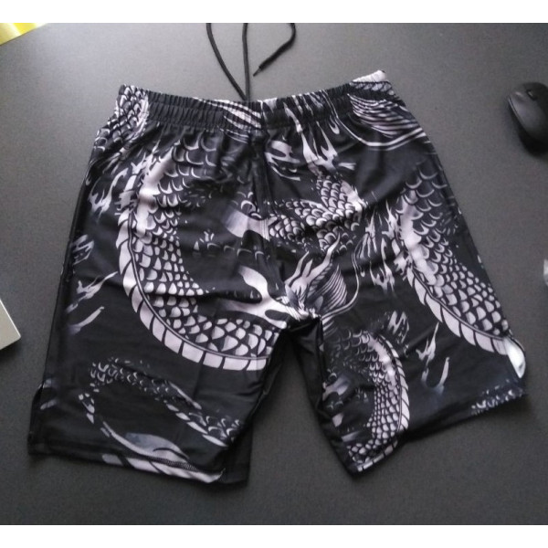Шорты ММА Dragons Flyght Venum