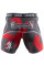 Компрессионные шорты Hayabusa Metaru 47 Silver Compression Shorts Red