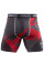 Компрессионные шорты Hayabusa Metaru 47 Silver Compression Shorts Red