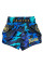 Шорты для тайского бокса Fairtex BS1916 Golden Jubilee