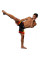 Шорты MMA Venum Lyoto Machida Tatsu King Fightshorts