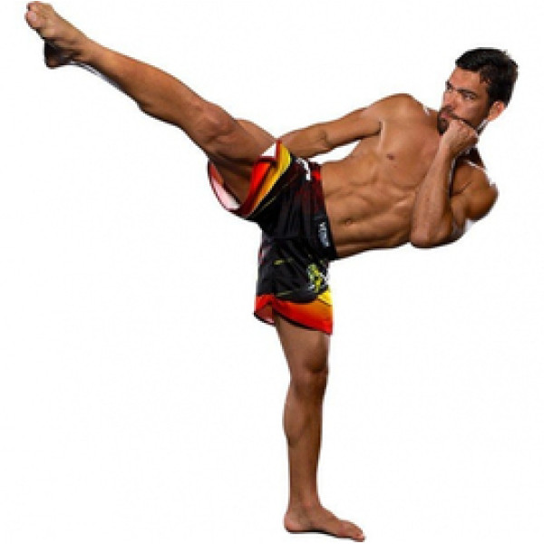 Шорты MMA Venum Lyoto Machida Tatsu King Fightshorts