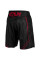 Шорты для ММА Venum Signature Fightshorts Black Red