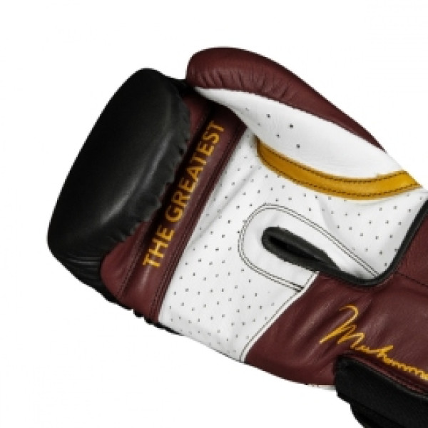 Боксерские перчатки Title Boxing ALI Genuine Leather Training Gloves
