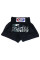 Шорты для муай тай Fairtex BS 0609