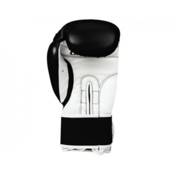 Боксерские перчатки Title Classic Pro Style Training Gloves 3.0