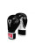 Боксерские перчатки Title Classic Pro Style Training Gloves 3.0