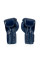 Боксерские перчатки Fairtex BGV5 Blue