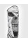 Защита ног Venum Gladiator 4.0 Shinguards Black White