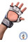 Перчатки BERSERK TRADITIONAL for Pankration approved WPC 4 oz blue