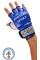 Перчатки BERSERK TRADITIONAL for Pankration approved WPC 4 oz blue