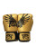 Боксерские перчатки Fairtex BGV1 Gold Limited Edition Boxing Gloves