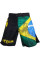 Шорты Venum Brazilian Flag Fightshorts - Black