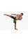 Шорты Venum Brazilian Flag Fightshorts - Black