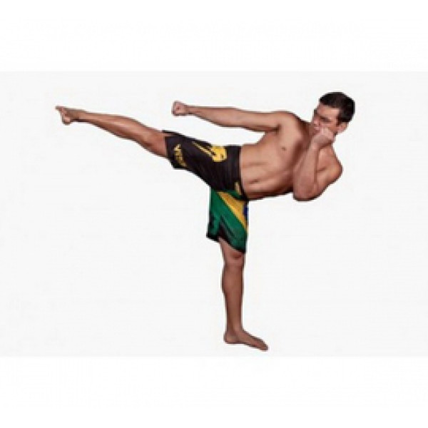 Шорты Venum Brazilian Flag Fightshorts - Black