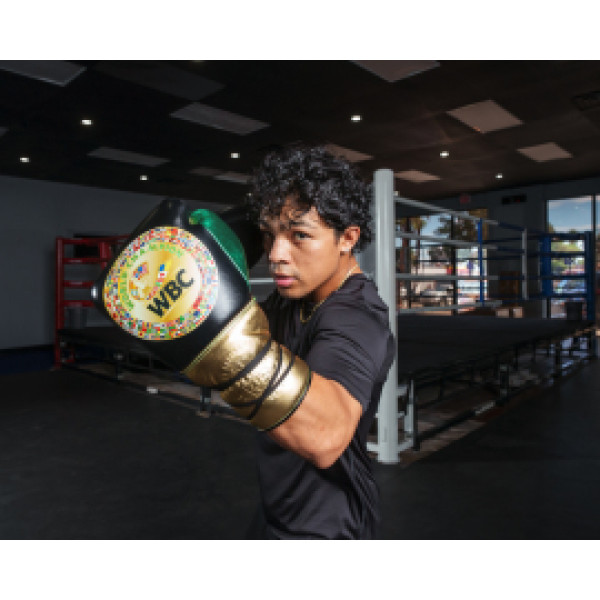 Боксерские перчатки Title WBC Green Belt Sparring Gloves