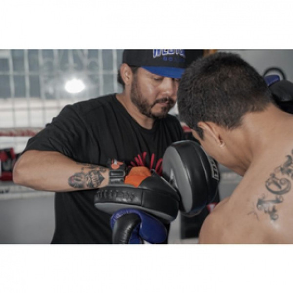 Лапы Title Ionic Strike Punch Mitts
