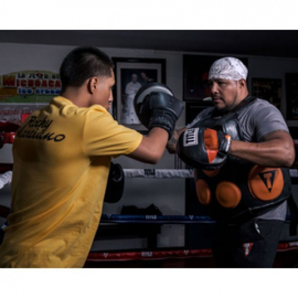 Лапы Title Ionic Strike Punch Mitts
