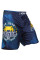 Шорты Venum Carioca Fightshorts - Blue