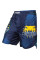 Шорты Venum Carioca Fightshorts - Blue