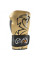 Боксерские перчатки Rival RS11V Evolution Sparring Gloves Velcro Gold