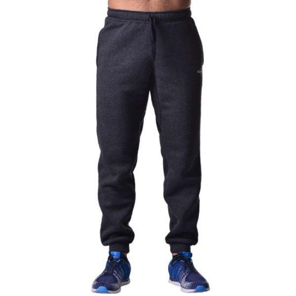 Спортивные штаны BERSERK PREMIUM dark grey (с начесом)