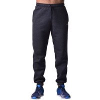 Спортивные штаны BERSERK PREMIUM dark grey (с начесом)