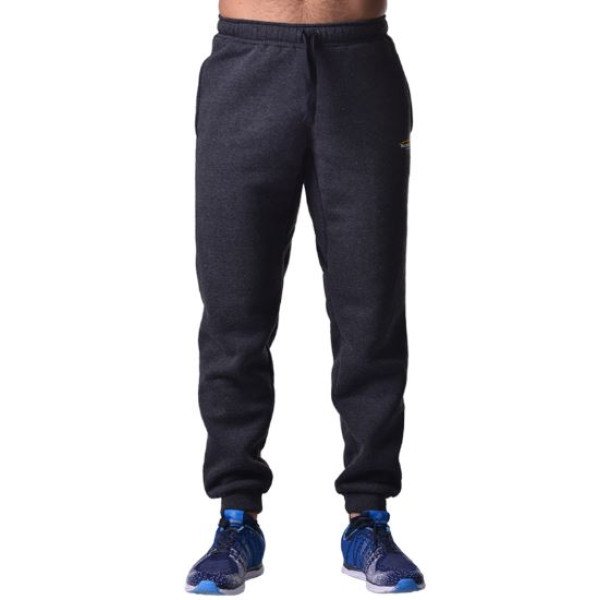 Спортивные штаны BERSERK PREMIUM dark grey (с начесом)