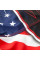 Шорты MMA Venum USA Hero Fightshorts
