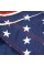 Шорты MMA Venum USA Hero Fightshorts