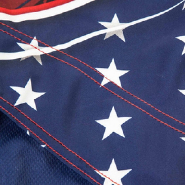 Шорты MMA Venum USA Hero Fightshorts